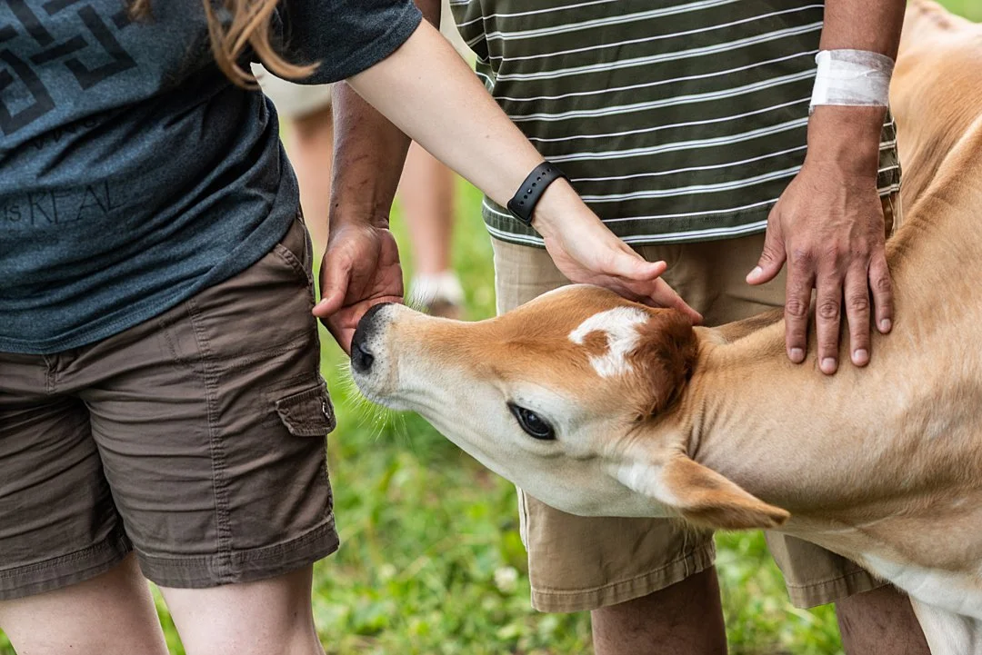 Visitors enjoying time with rescued animals at Farm Sanctuary's annual summer festival. Watkins Glen, New York, USA, 2018. Jo-Anne McArthur / We Animals