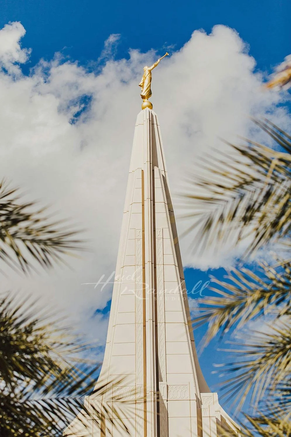 GilbertTemple-Palms-web.jpg