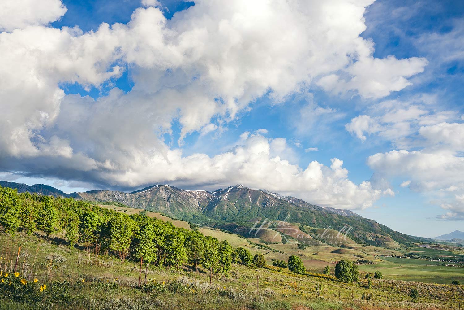 WellsvilleSpringMountainRange-HeidiRandallStudios-web.jpg
