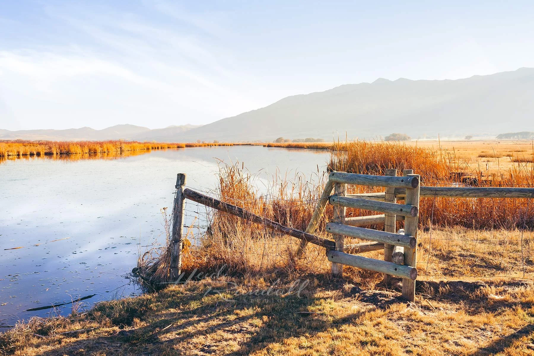 WellsvilleReflection-web.jpg