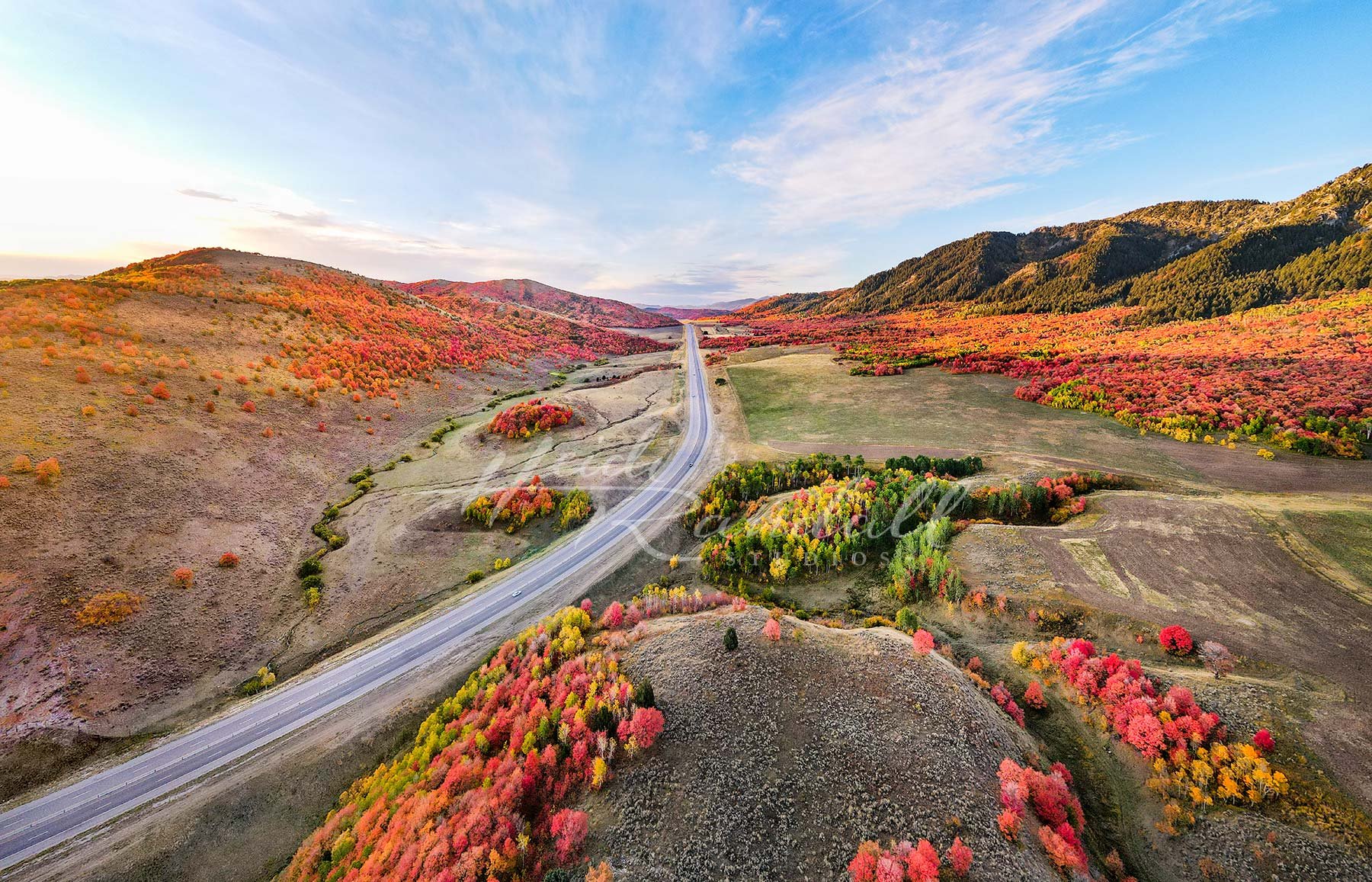 SardineCanyonAutumnCommute-CacheValleyFallPhoto-SardineCanyonFallColors-HeidiRandallSTudios-web.jpg