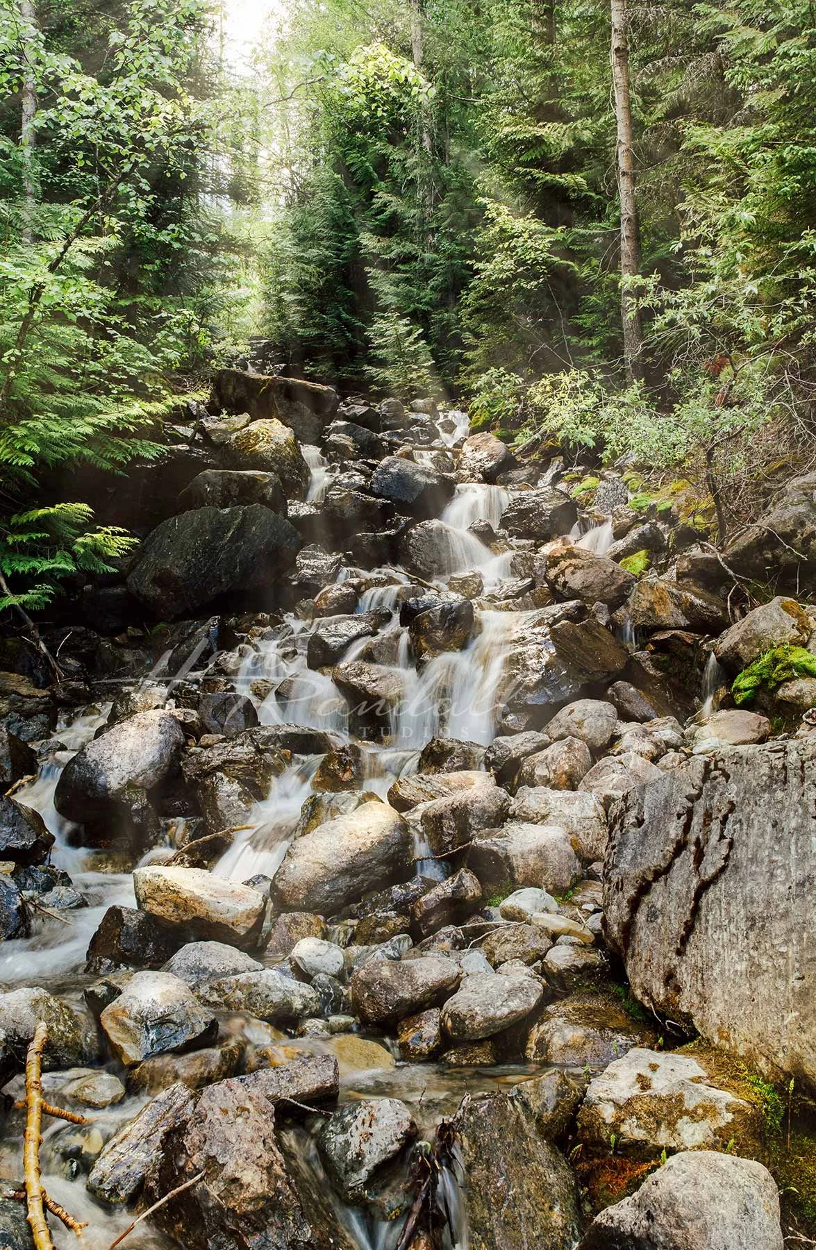 WaterfallCascade-HeidiRandallStudios-LandscapeRiverPhoto-web.jpg