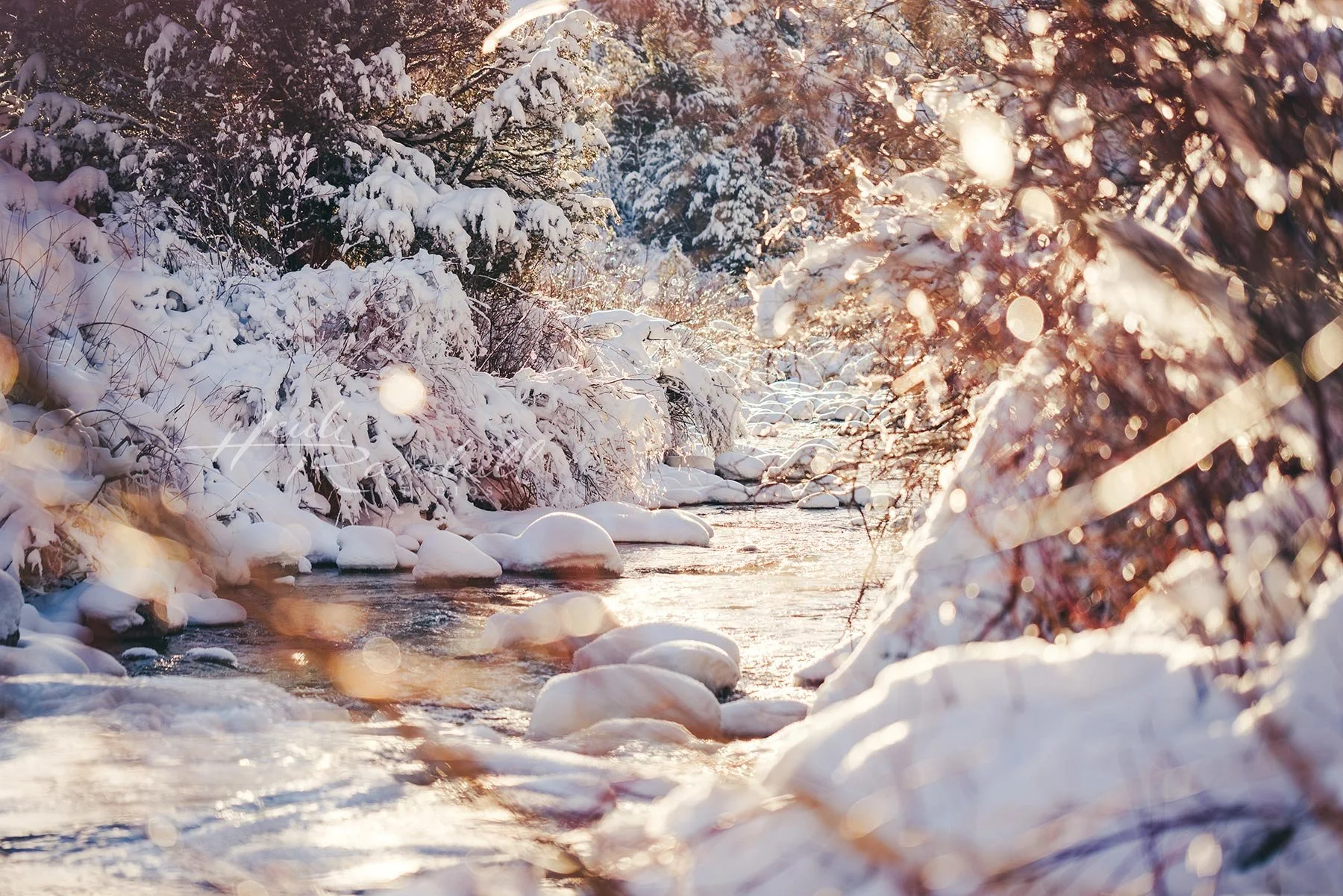 LoganRiverWinterRiver-web.jpg
