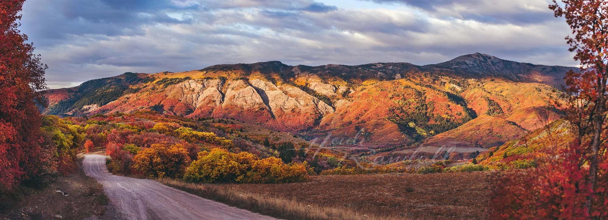 GraniteCliffsandAutumnLeaves-UtahFallLandscape-HeidiRandallSTudios-web.jpg
