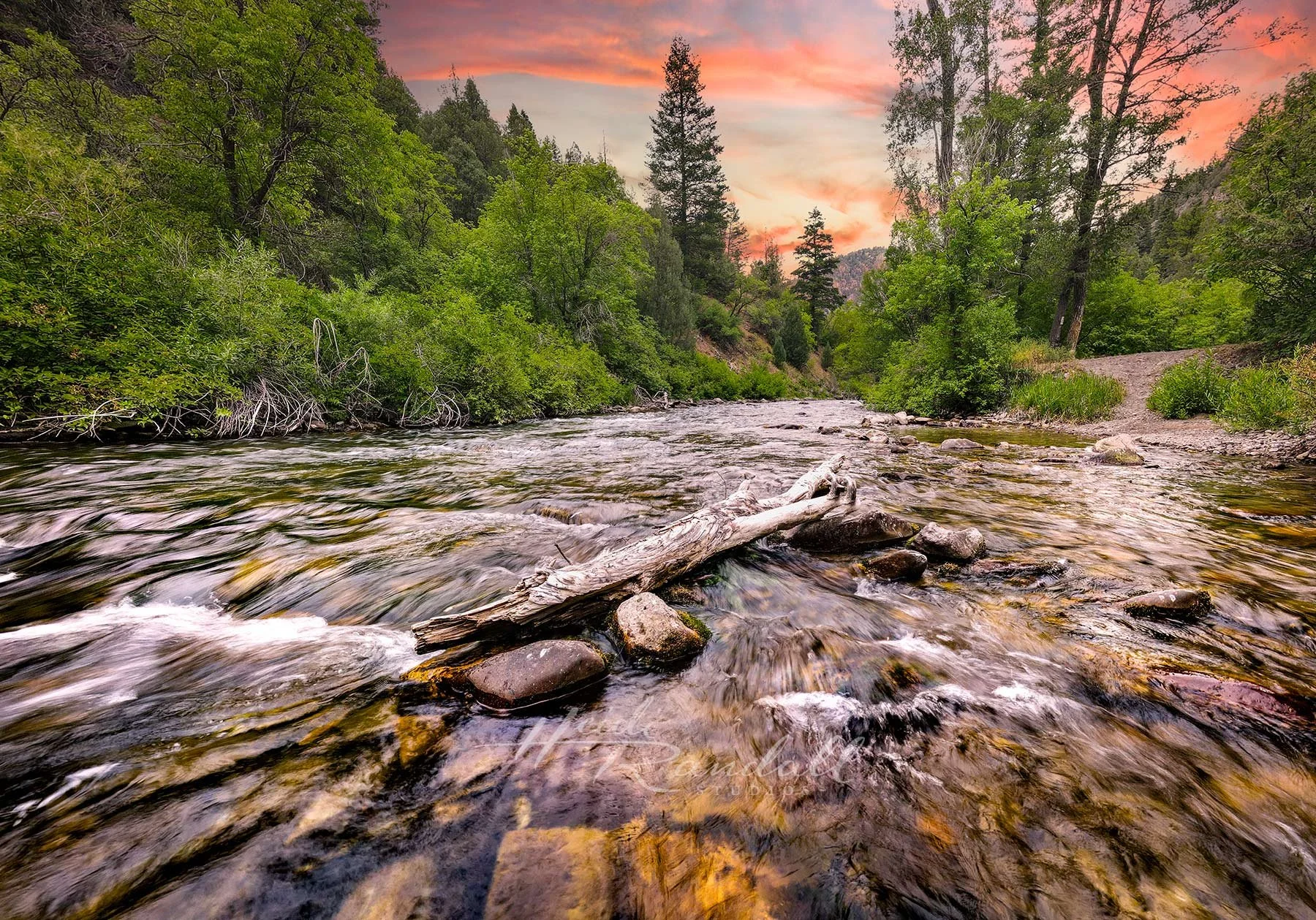 LonelyRiver-web.jpg