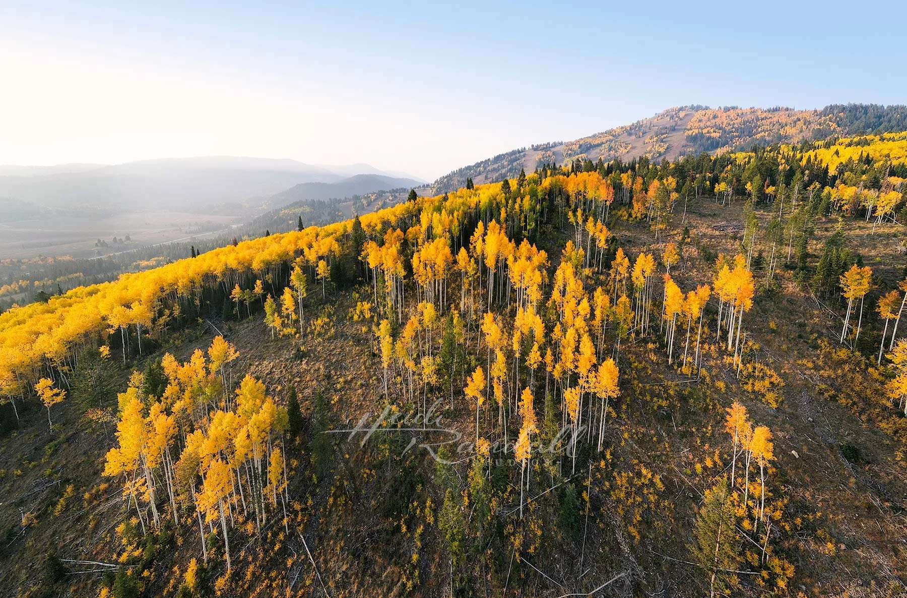 SmokeyAutumAspensatBeaverMountain-BeavermountainLoganUt-HeidiRandallStudios-web.jpg