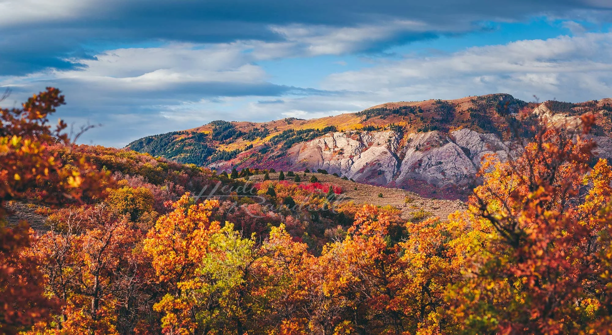Granite-Cliffs-and-Autumn-Leaves-2-web.jpg