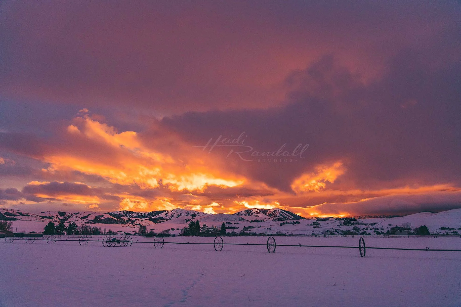 PurpleWinterSunset-UtahWinterSunsetPhoto-HeidiRandallStudios-web.jpg