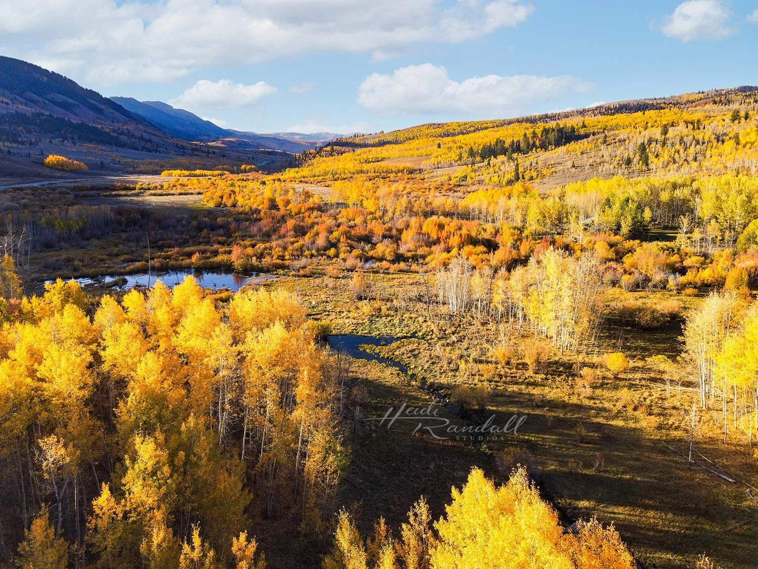 LoganCanyonGoldenSunrise-FranklinBasin-HeidiRandallStudios-PRINT-web.jpg