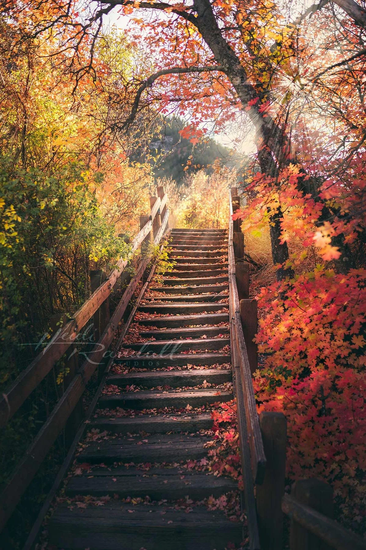 AutumnStairs-web2.jpg