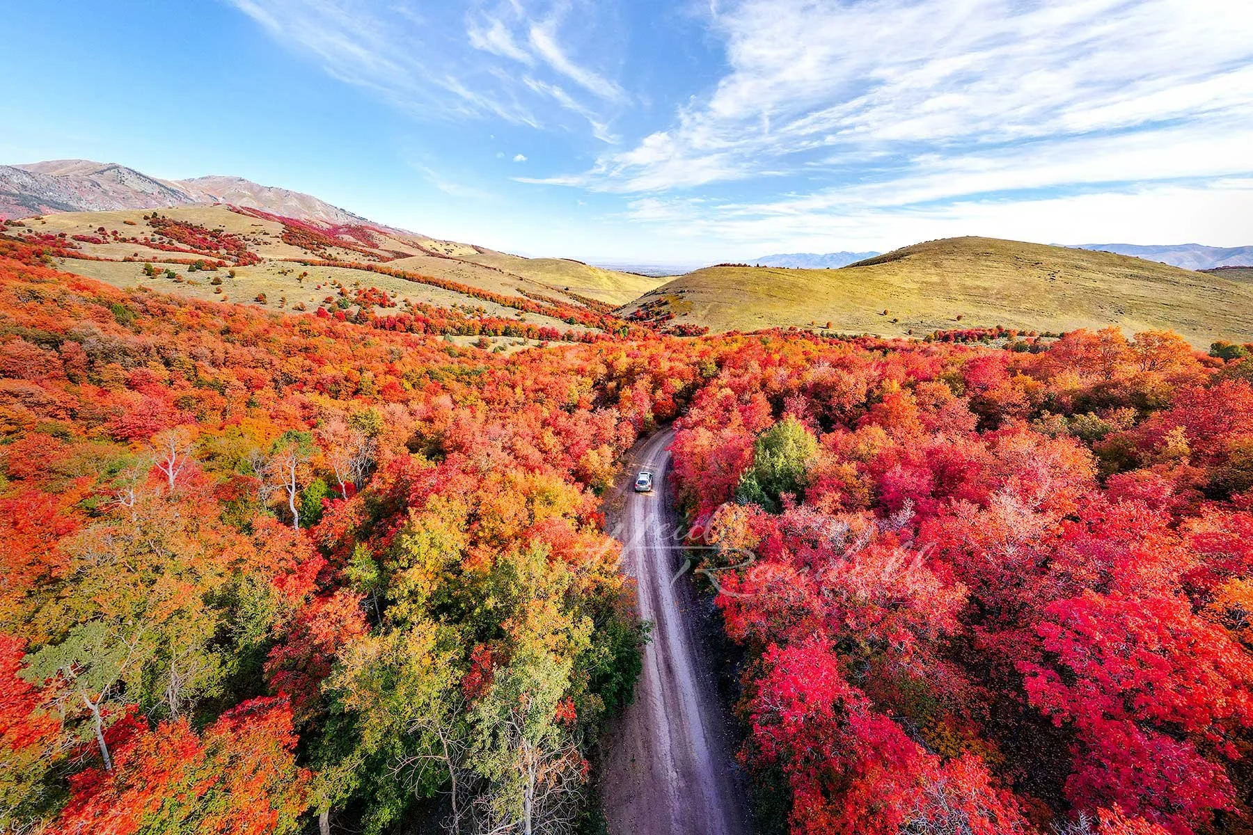 HiddenAutumnRoadCV-UtahFallLandscapePhoto-HeidiRandallStudios-web.jpg