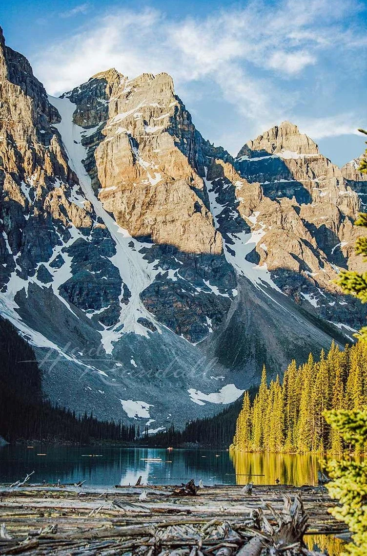 MoraineLakeLogs-BanffNationalPark-MoraineLakephoto-HeidiRandallStudios-web.jpg