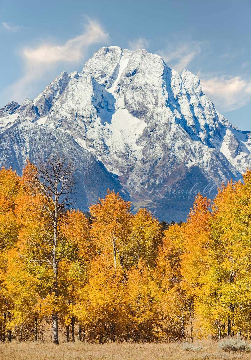 Mt.MoranFire-web2.jpg