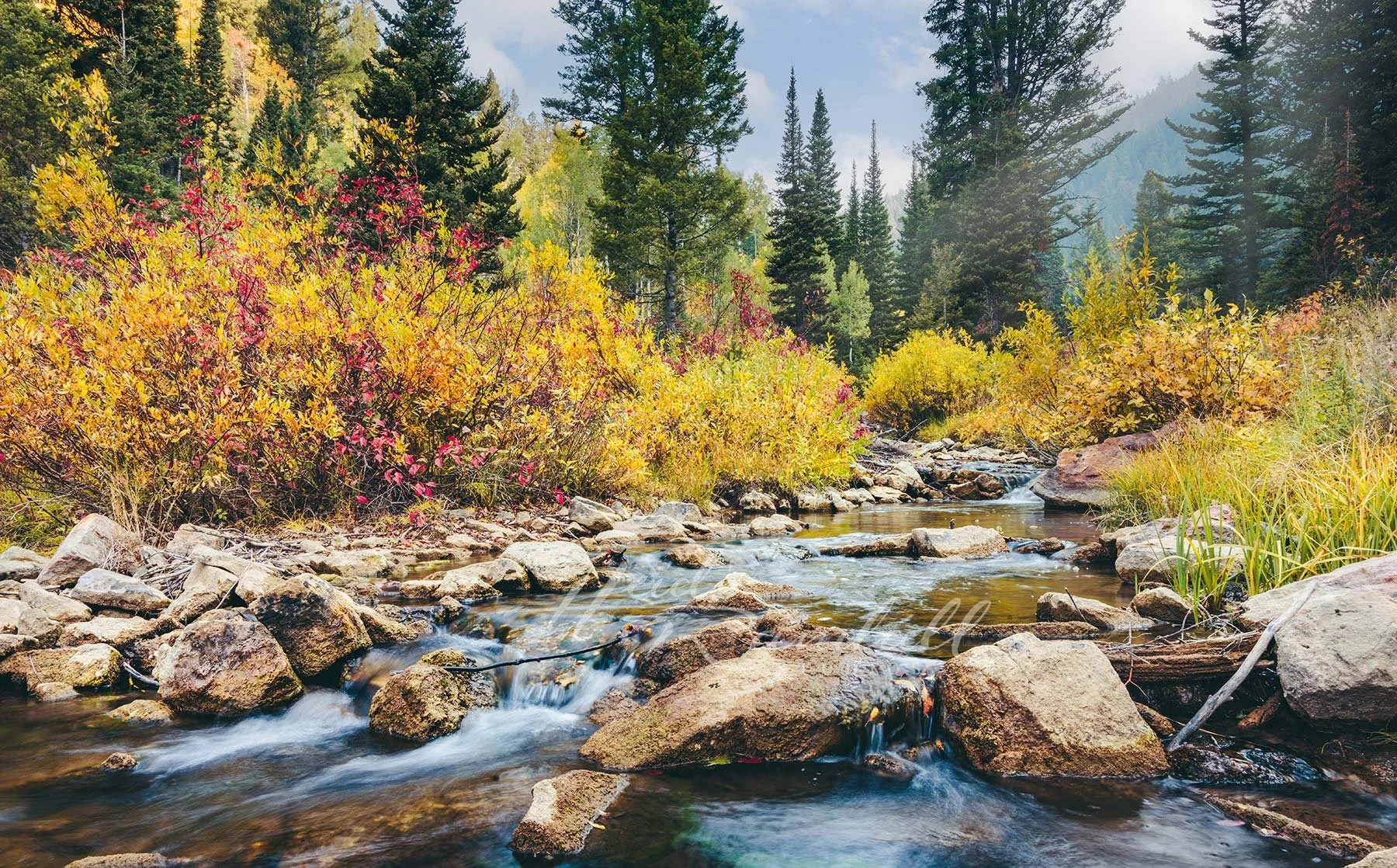 BeaverCreekAutumn-CacheNationalForestAutumn-HeidiRandallStudios-web.jpg