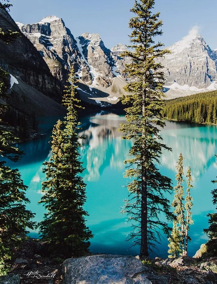 MoraineLakePineTrees-HeidiRandallStudios2019-web1.jpg