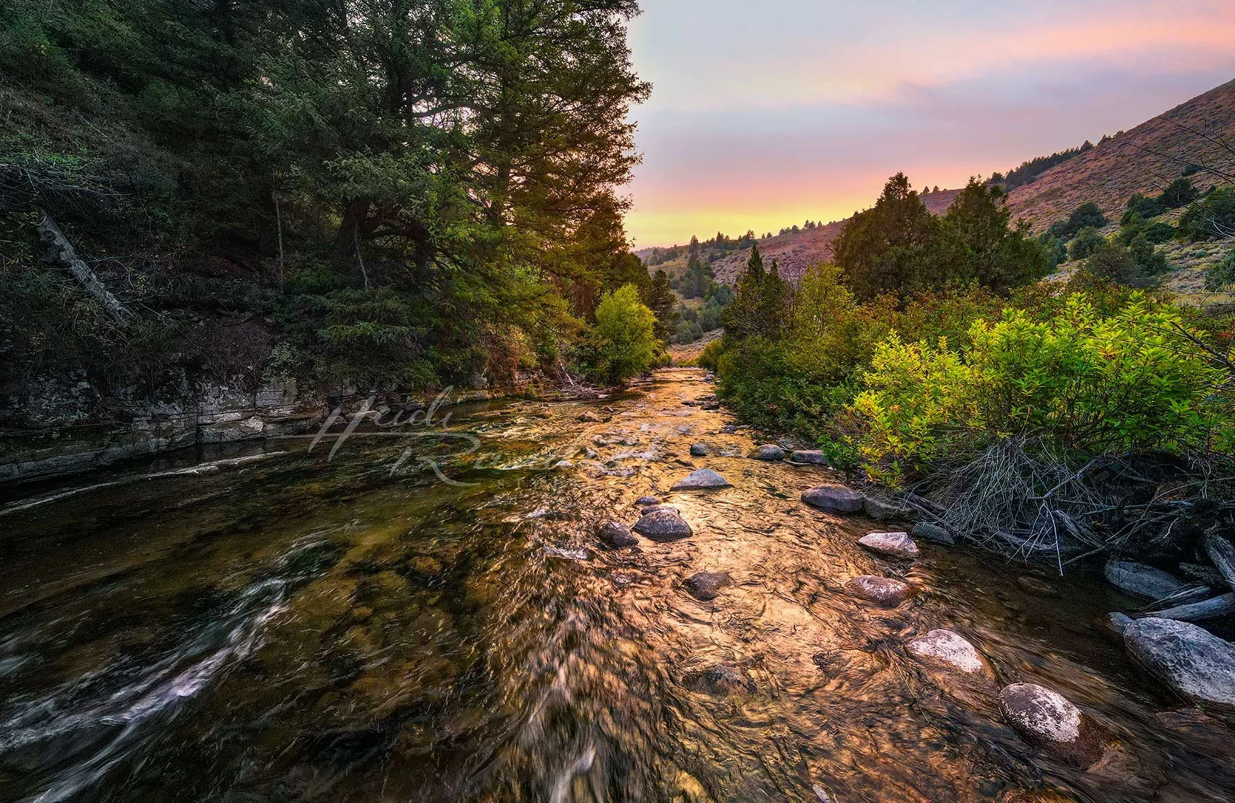 LoganRiverSunset-web.jpg