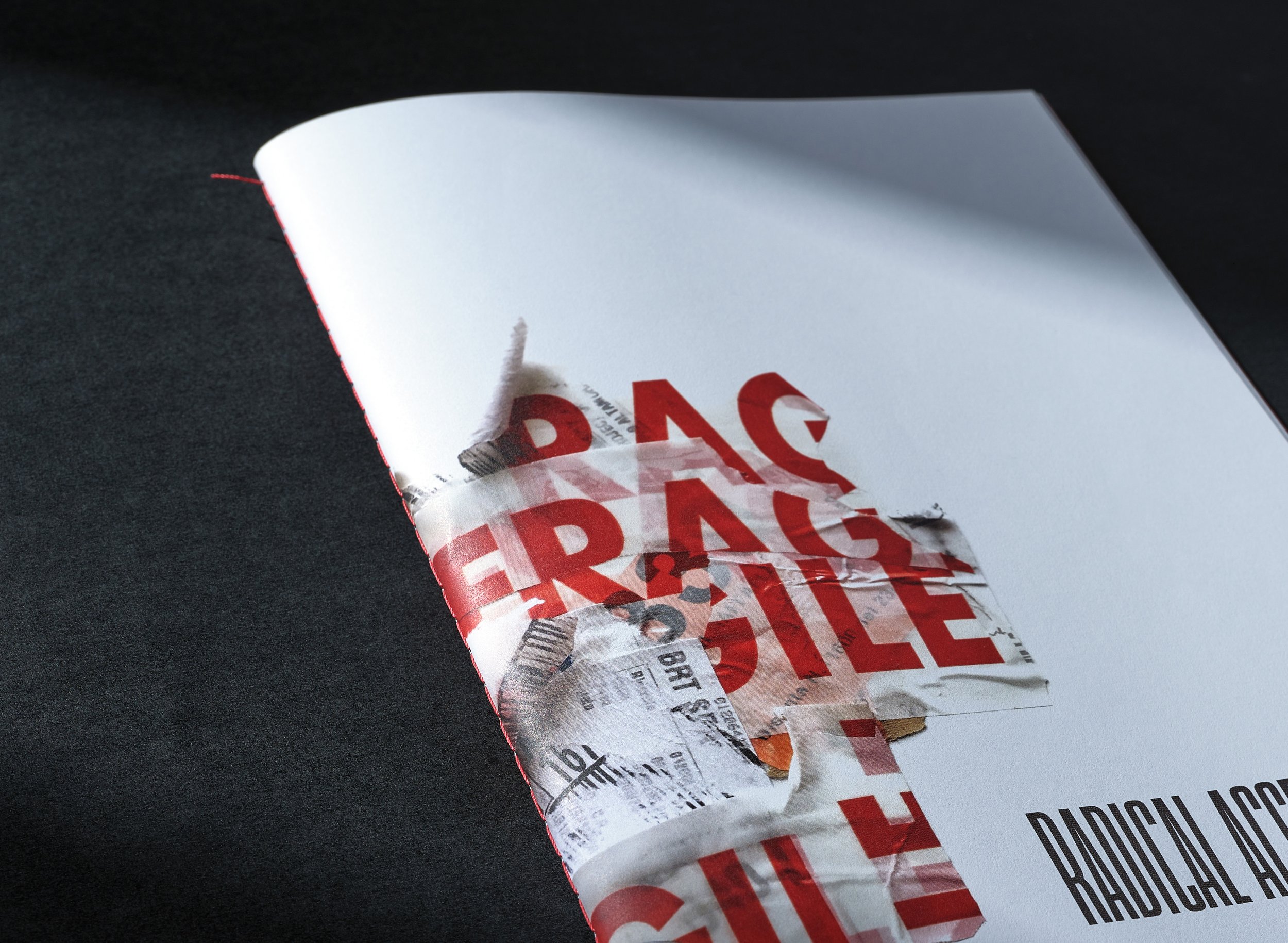 Radical Acceptance . Journal