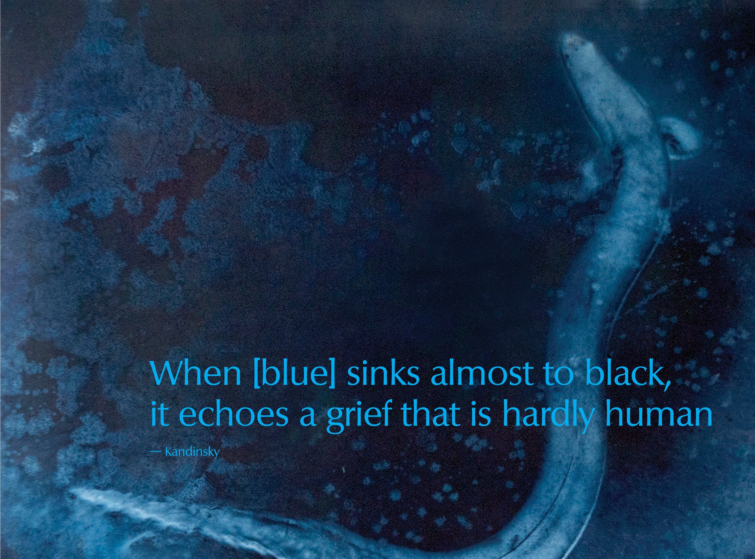 Christine Fitzgerald Last Light . Catalogue