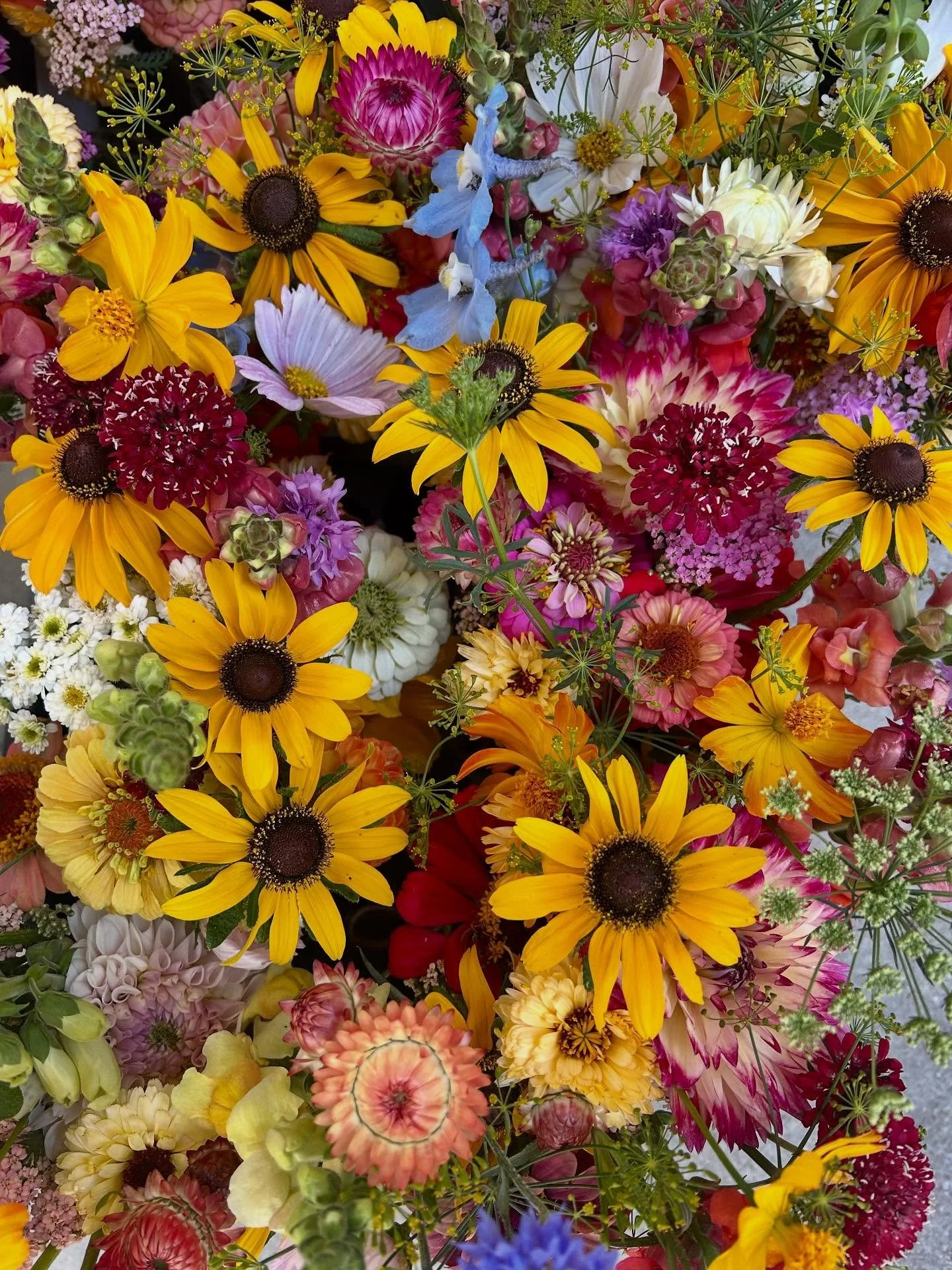 Stop by the BB booth at the @missoulafarmersmarket TOMORROW and build your own bouquet with me 💐You&rsquo;ll get to select your flowers and put together your own unique bouquet while I walk you through the different parts and techniques! At the XXXs