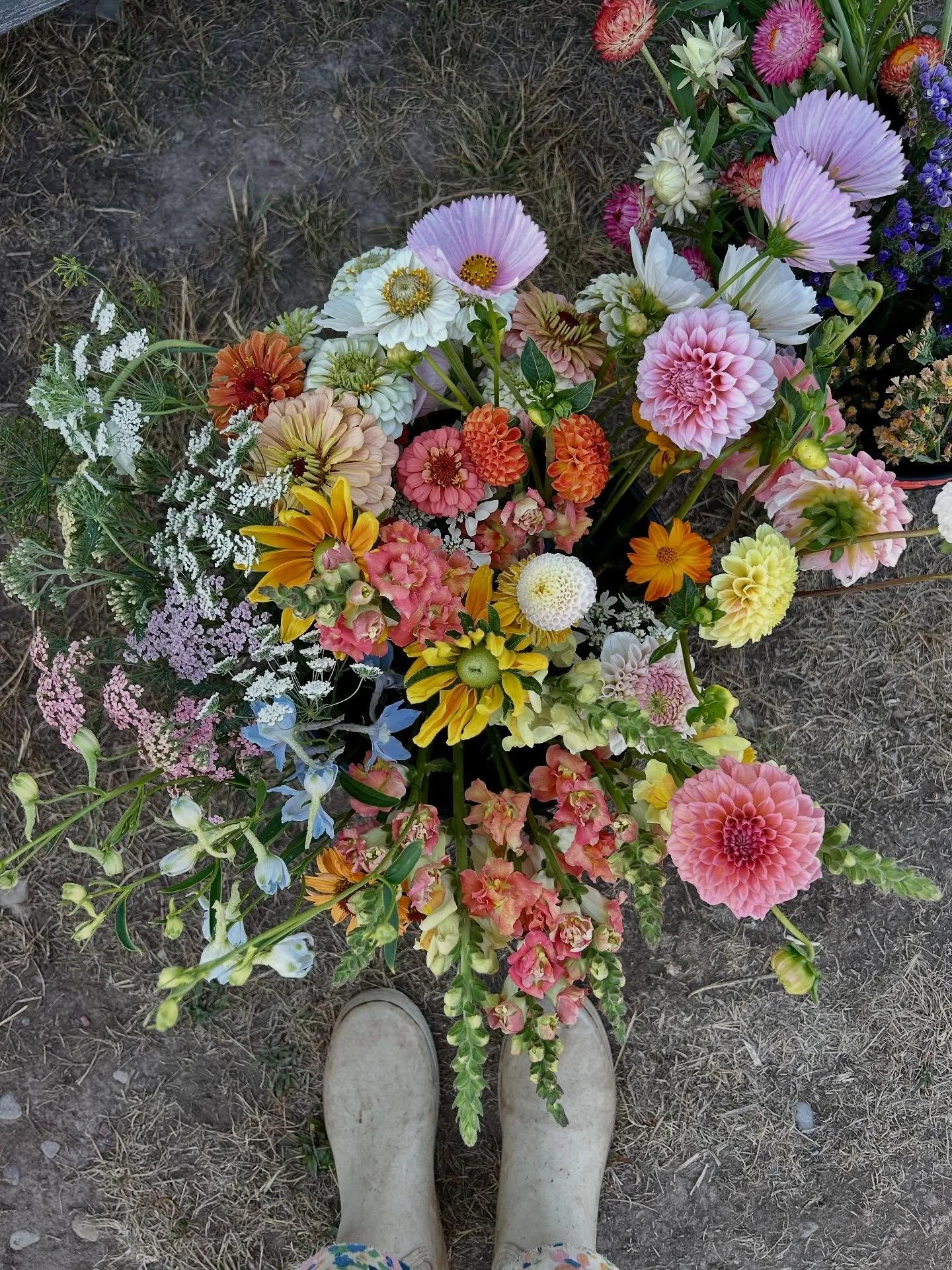 From a bucket of flowers in the field to a beautiful bridal bouquet 🥰 Congratulations to A + T!