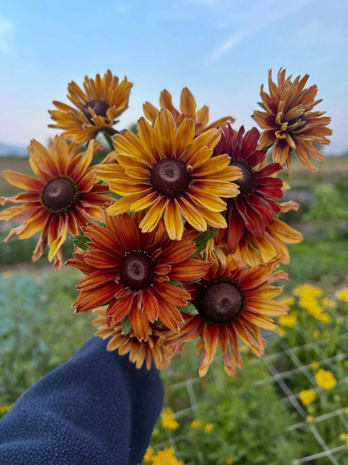 Rudbeckia so pretty it deserves its own post π Happy first day of Fall everyone! ππ
