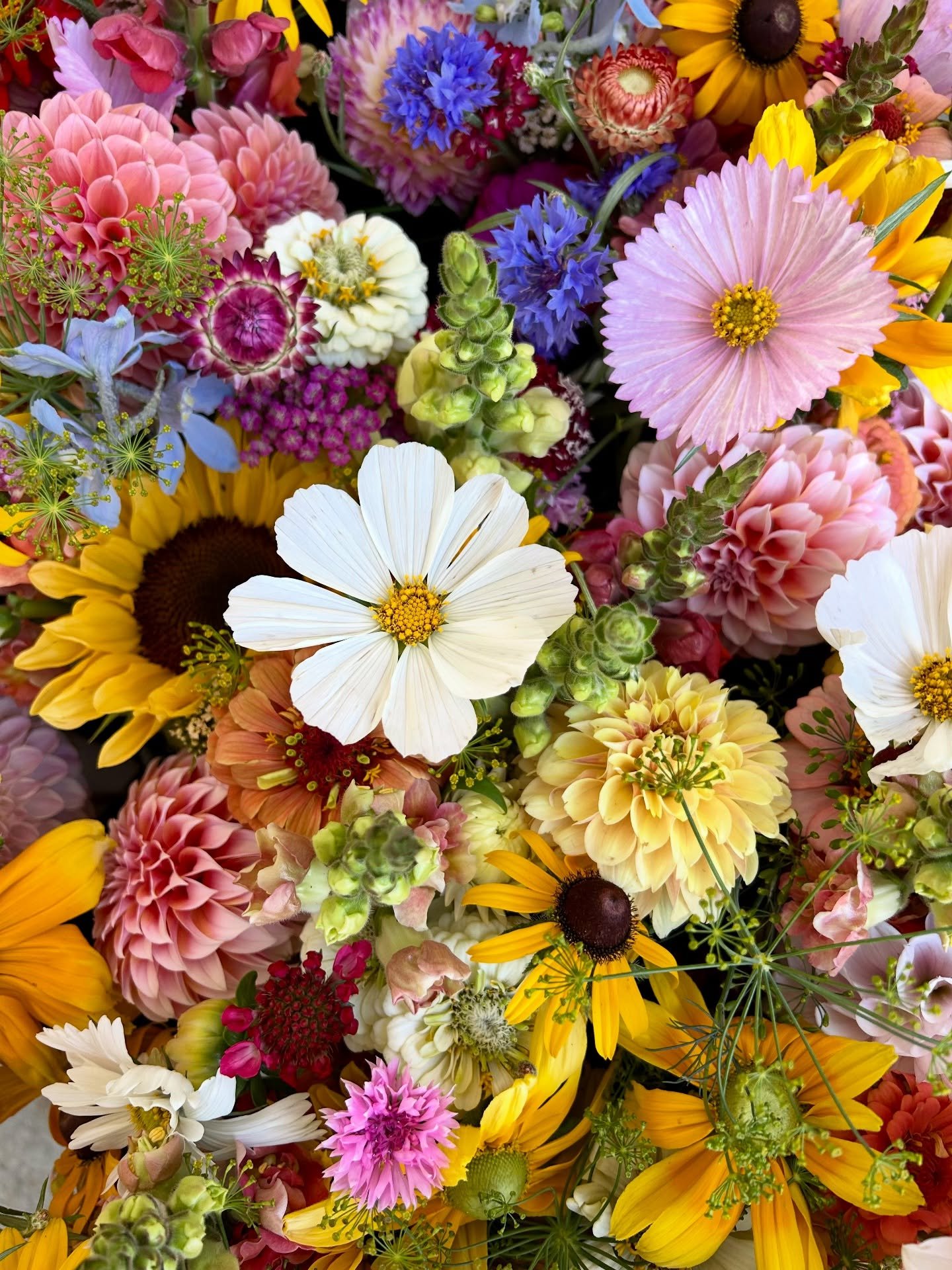 2026 CSA bouquet subscriptions are officially open! Celebrate the season with weekly or bi-weekly locally grown flowers! Each week will feature the best of what&rsquo;s blooming in the field, choose from 3 seasonal options. Subscriptions also make a 