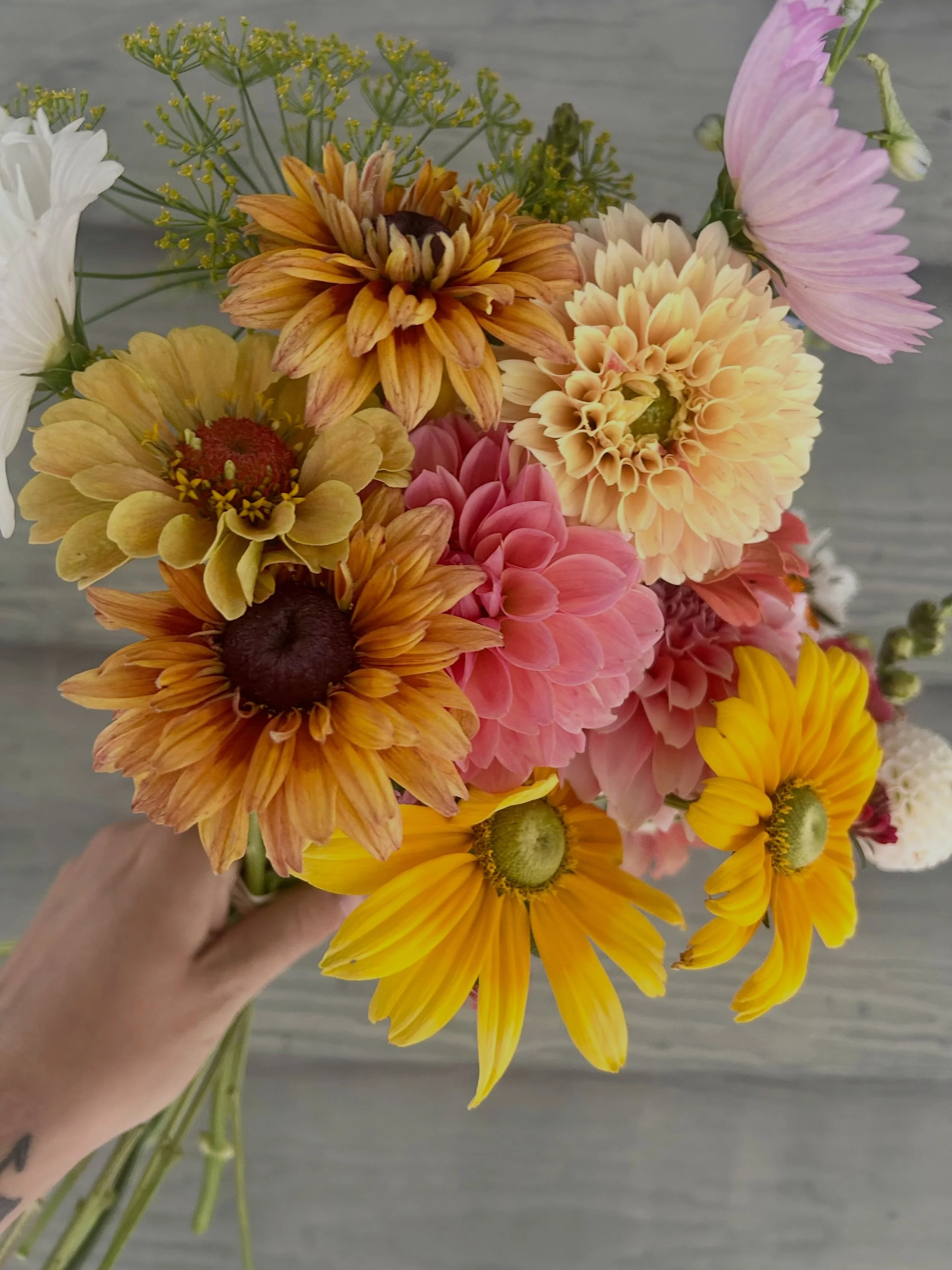 There&rsquo;s just one week left to sign up for an Autumn Bouquet CSA subscription! 🌻 September is one of the most beautiful times for flowers, filled with big blooms and rich, warm colors. Sign up by August 1st to enjoy weekly bouquets of fresh-cut
