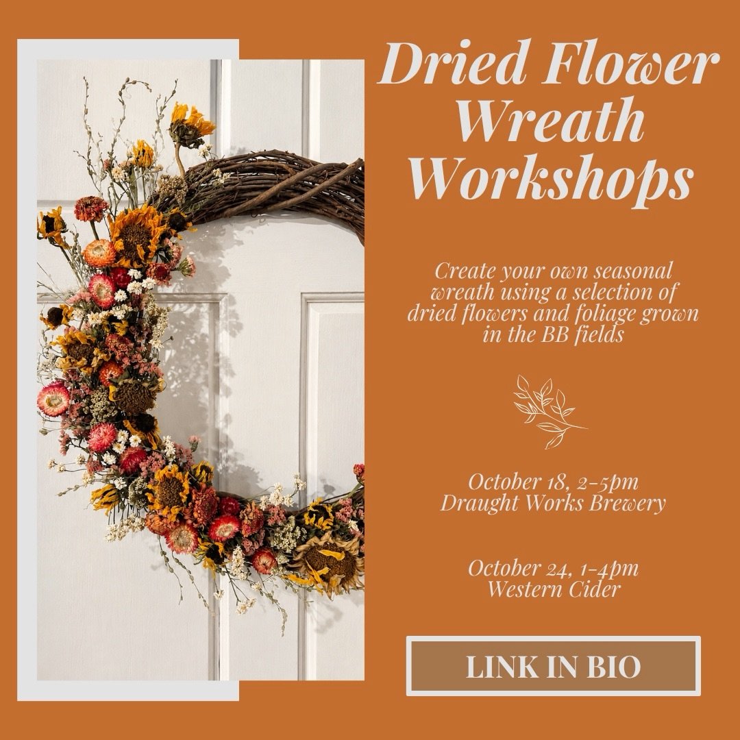 Happy September (!?!?) Believe it or not we&rsquo;re already transitioning into Fall! To kick off this season, BB&rsquo;s Autumn dried flower wreath workshop tickets are now available! Join me at one of these two workshops in October and create your 