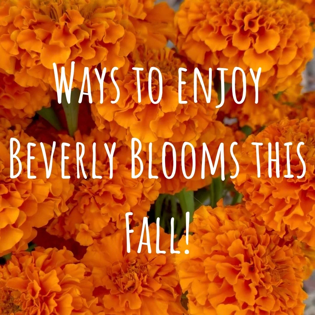 It&rsquo;s fall ya&rsquo;ll! The flowers don&rsquo;t have to end with Summer though, there are plenty of ways to enjoy the beauty through every season. Here are some of the ways you can get some BB dried flowers (or wreaths) the next few months! Link