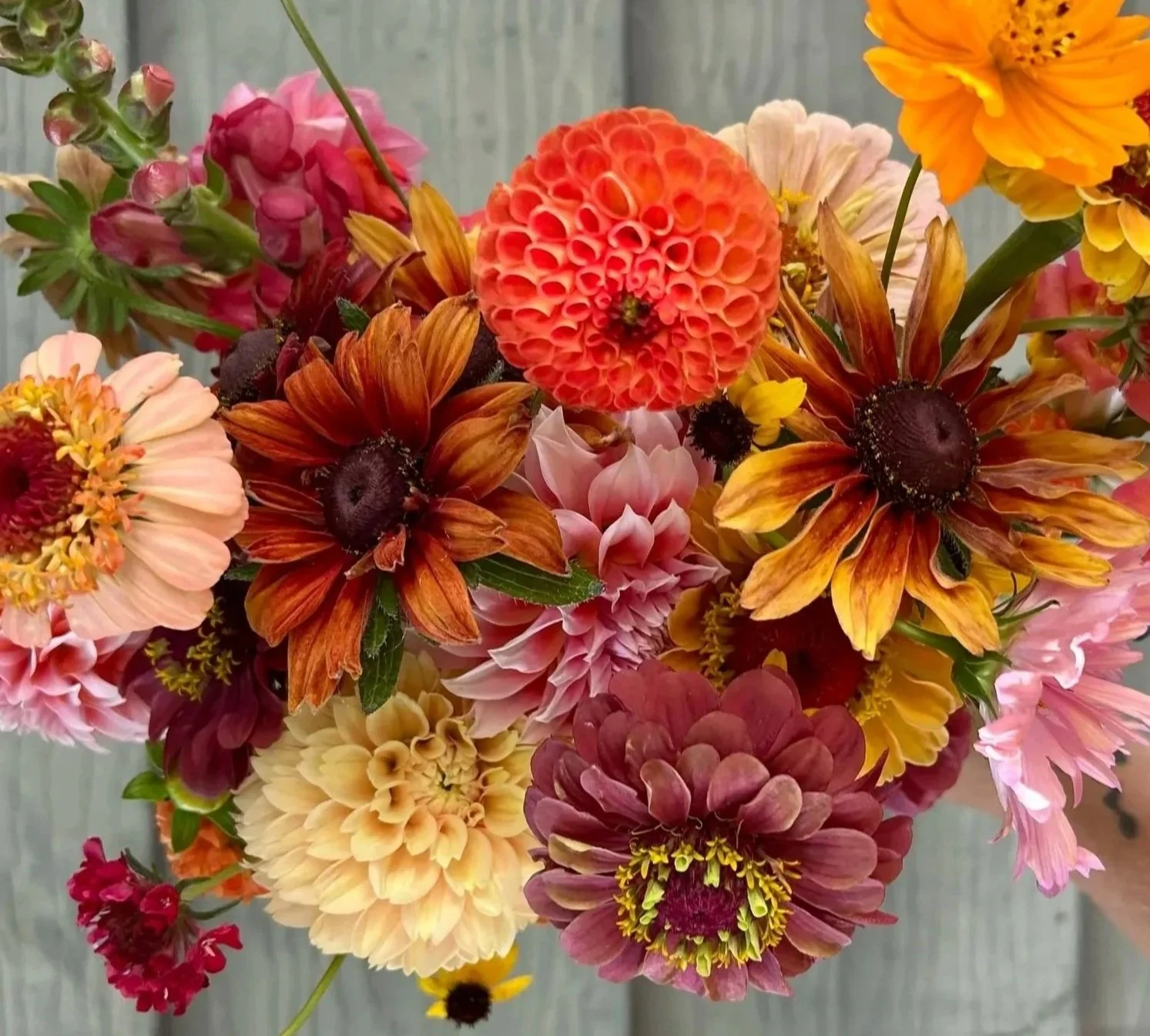 Autumn CSA Subscription