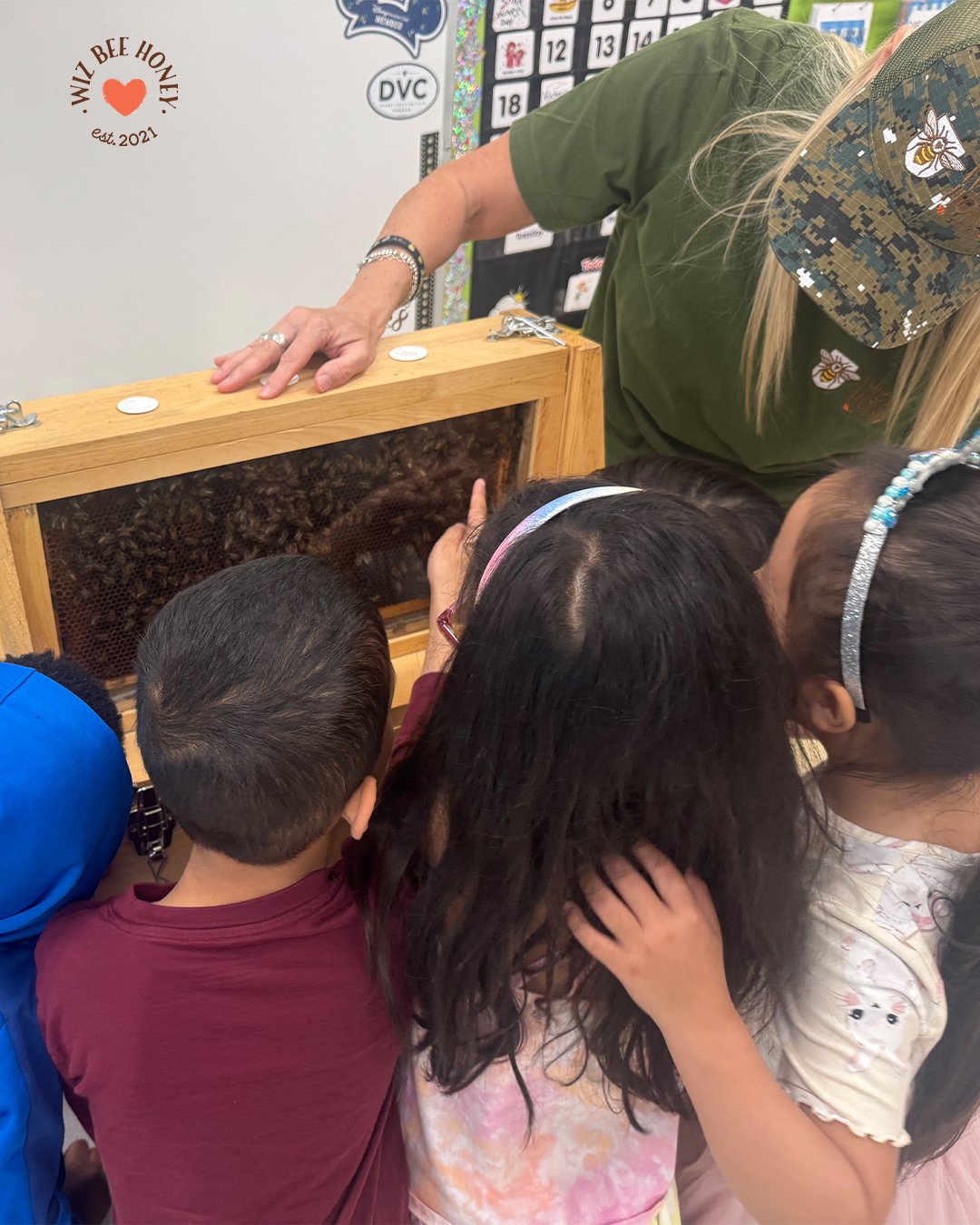 ✨ It's always a special day when Bees come to school! 💛🐝 The education sessions have been going so well and have been full of fun and learning!
-
The Observation Hive is from Dancing Bee Equipment @dancingbeeequipment 
.
.
.
.
.
.
.
#durhamregionbu