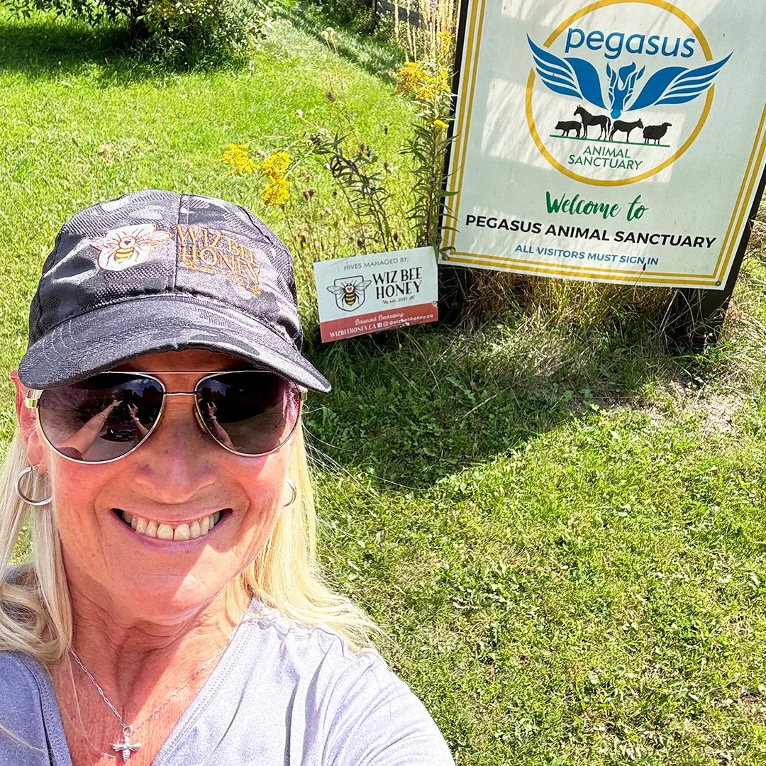 Proud to Partner with Pegasus Animal Sanctuary