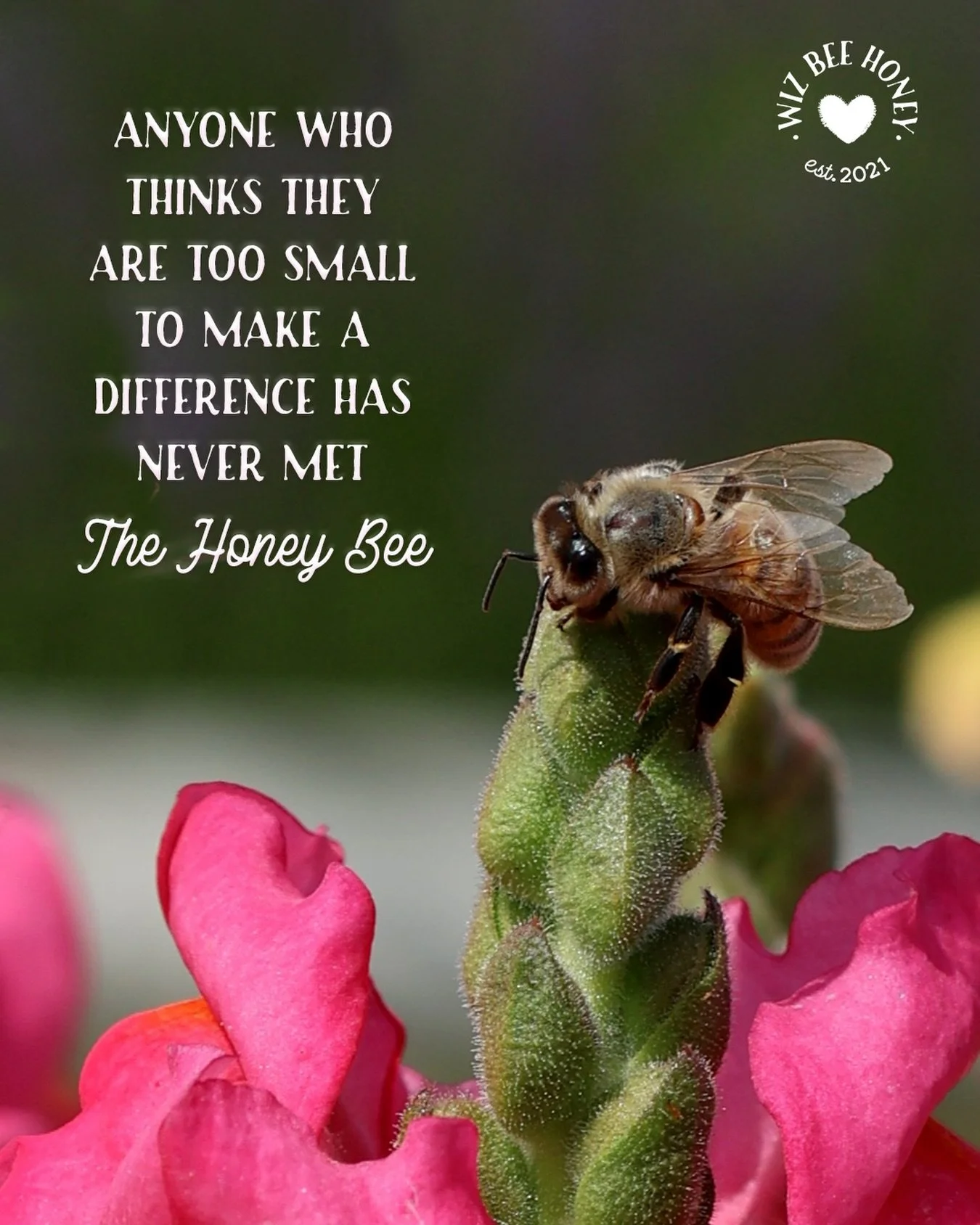 Inspired by these amazing little creatures! 💛🐝
.
.
.
.
.
#wizbeehoneyca #honeybee #beekeeping #beelove #fortheloveofthehive