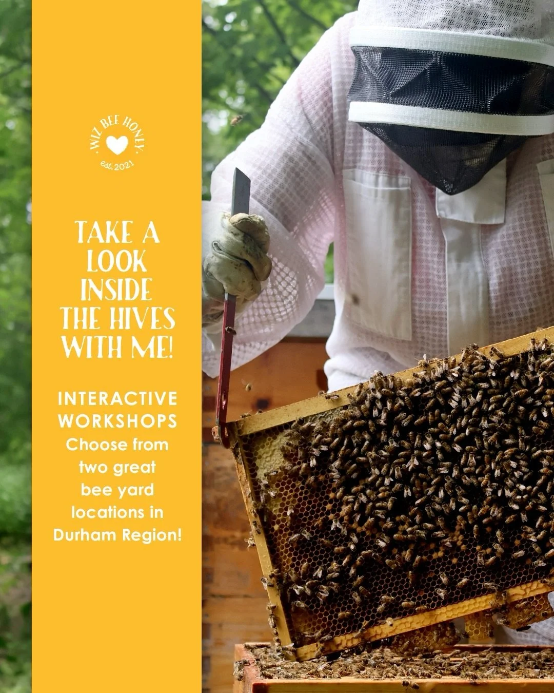 With Spring now here, my schedule is filling quickly- it&rsquo;s time to book Interactive workshops! These experiences are great for all ages. 💛

Spend two hours with me learning about bees and beekeeping. 🐝 We&rsquo;ll put on beekeeping suits and 