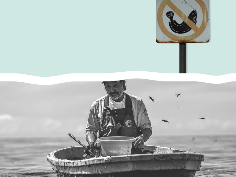 Zonas de refugio pesquero: lecciones del corredor San Cosme-Punta Coyote, Baja California Sur, México.