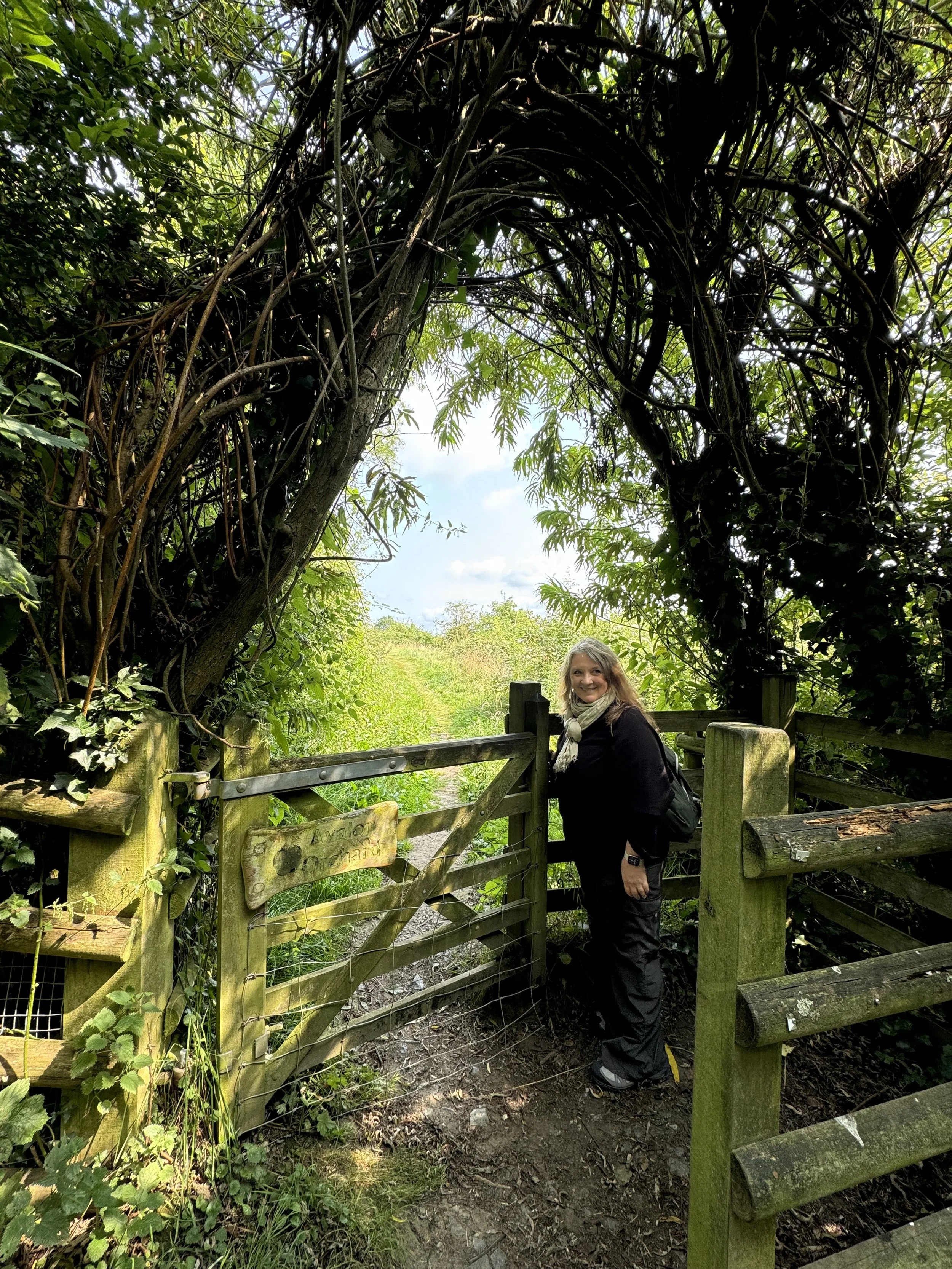 Save the Date! Pop-up with Abby