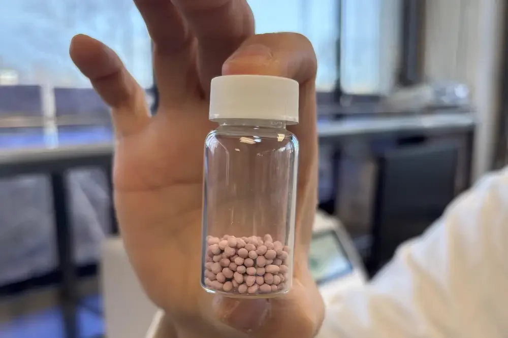 Nanophage in the news: Four Massey Ventures spinouts secure millions to scale globally