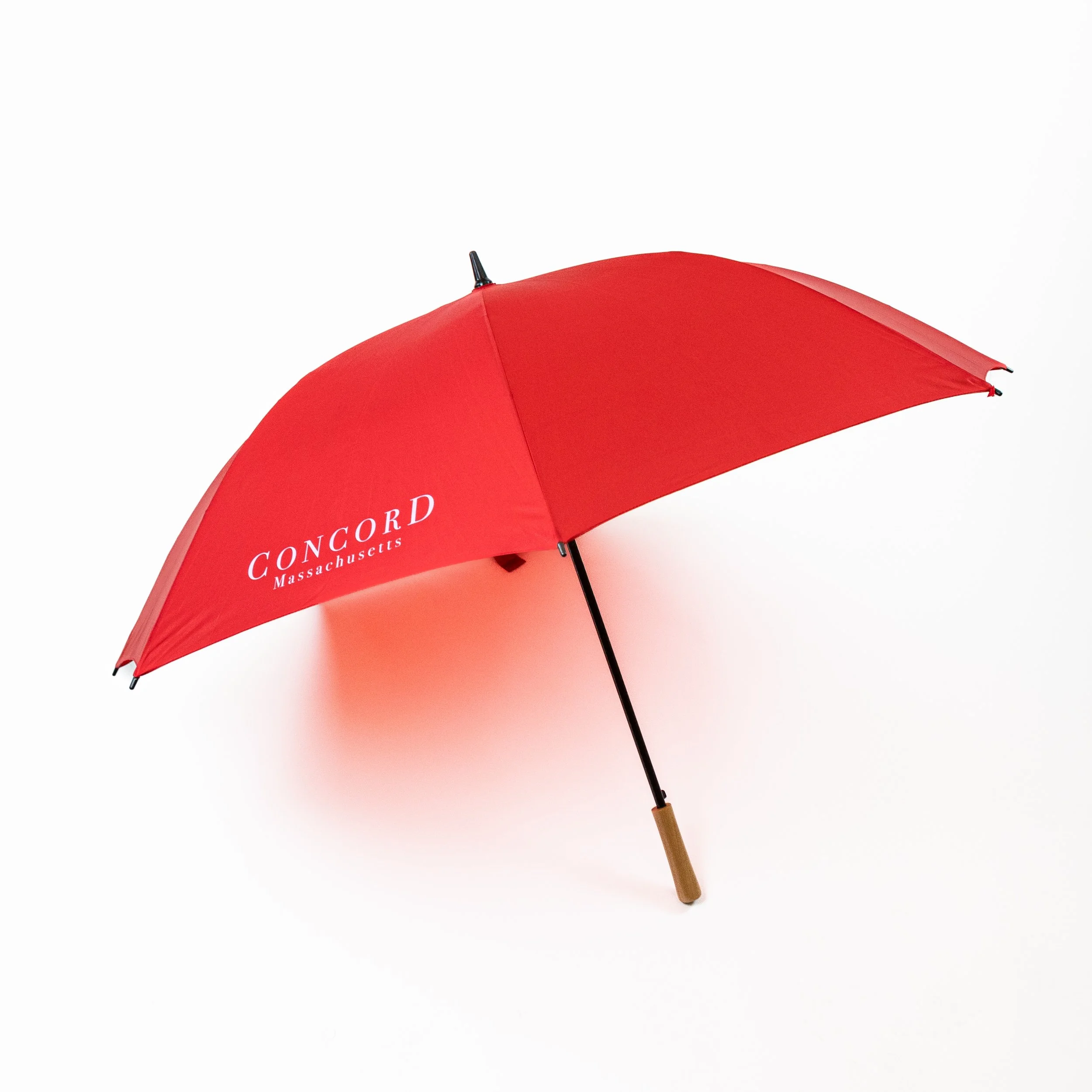 Concord Umbrella-3.jpg