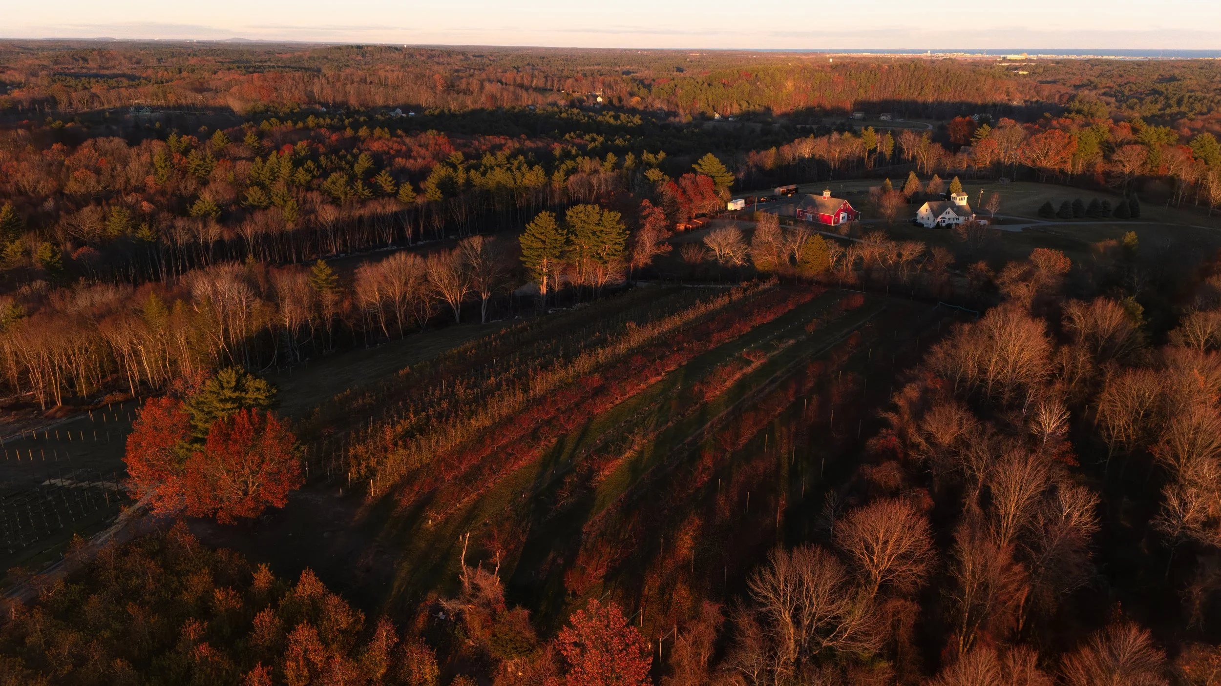 Cider Hill Sunset-2 copy.jpg