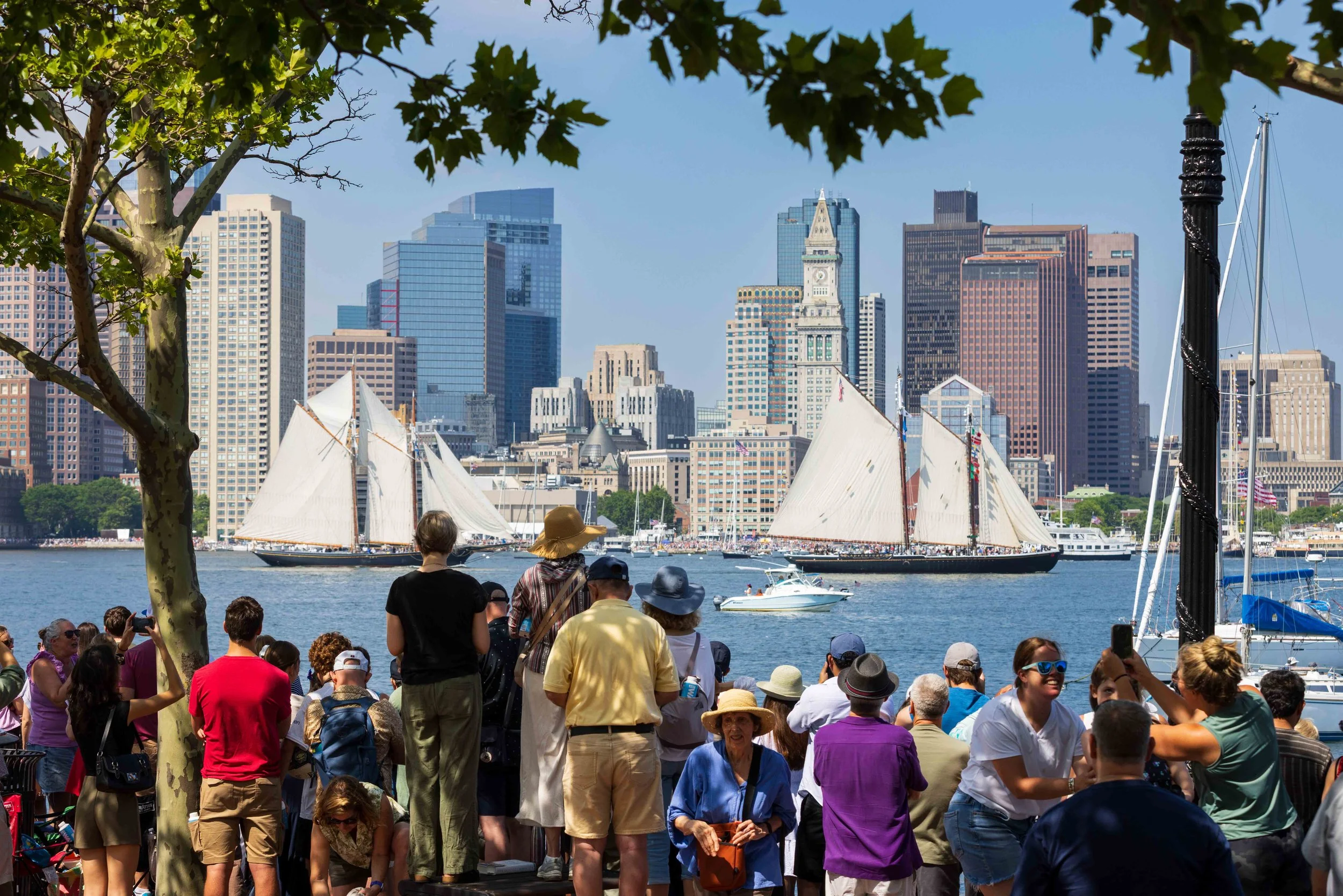 Sail Boston LOW-2.jpg