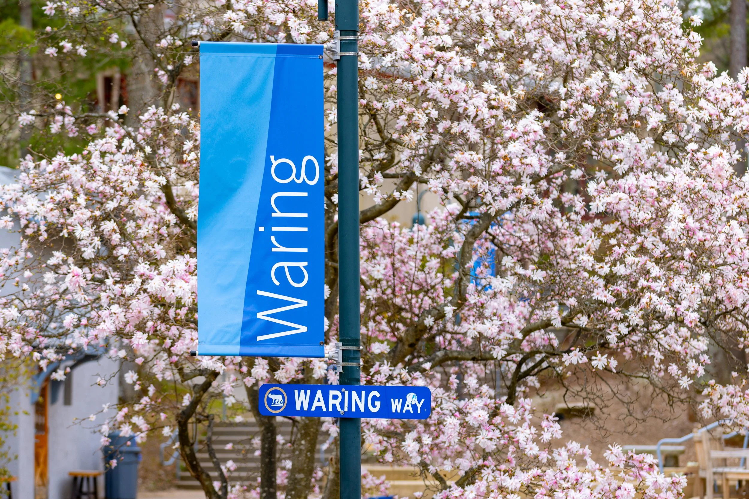 Waring Earth Day 2025-90.jpg