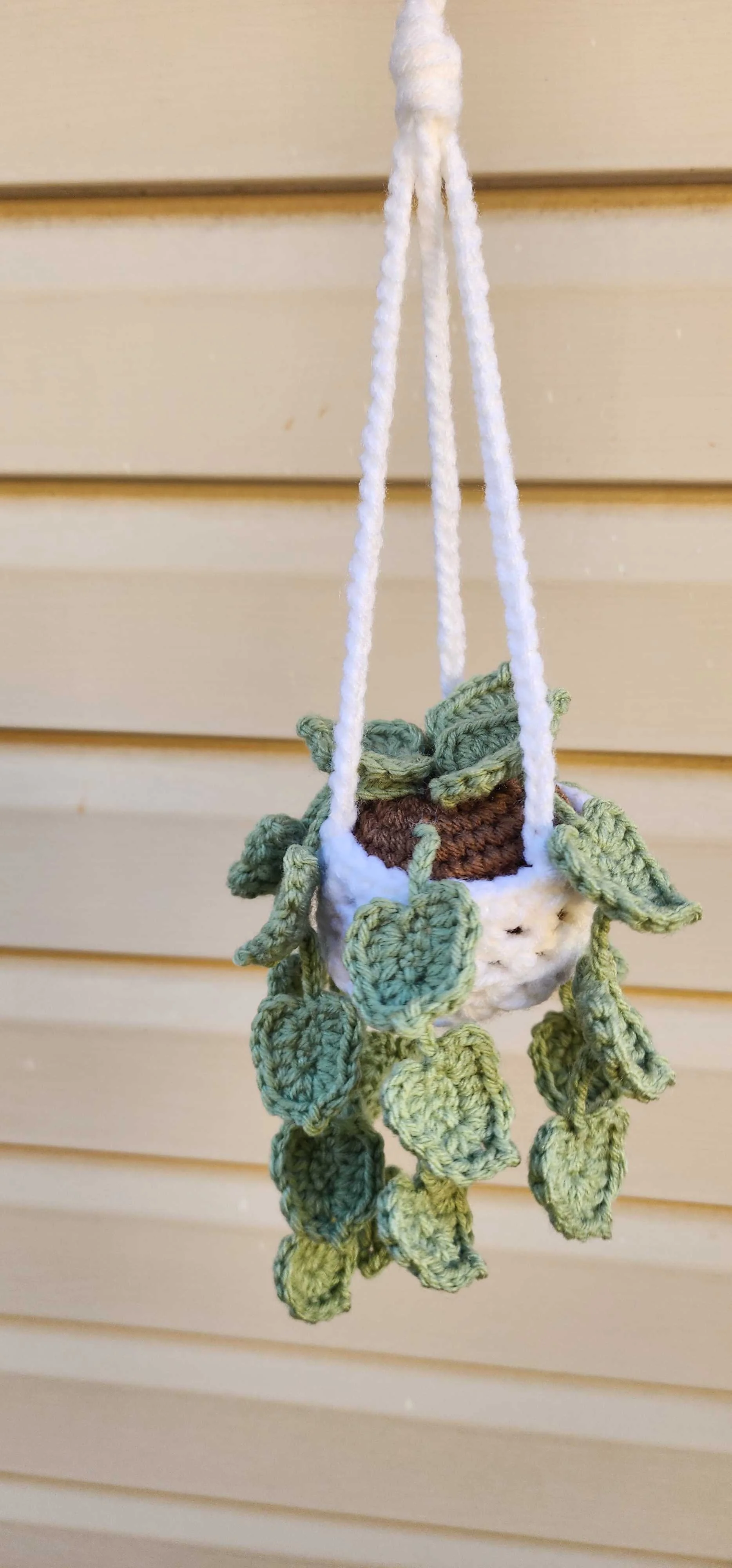 Crochet hanging pothos plant