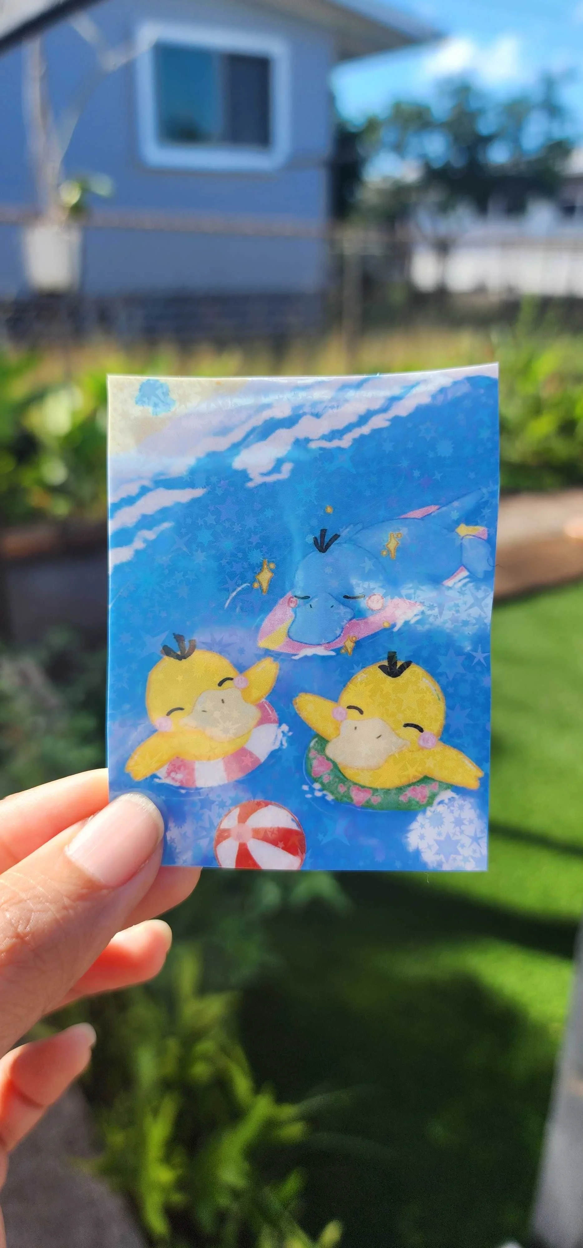 Pysduck beach sticker