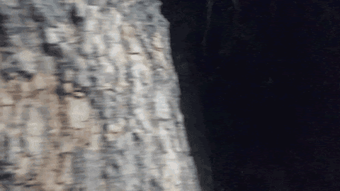 ​'An elaborate alleged conspiracy, engineered by Hollywood’s elite.'