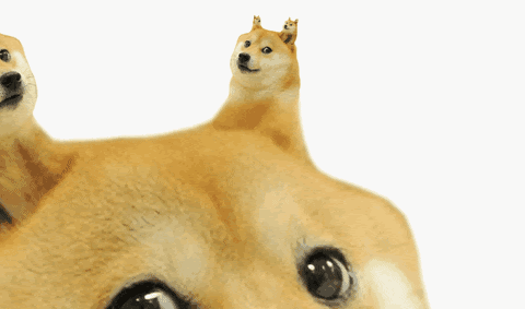 ​Has SHIB graduated to 'non-meme status'?
