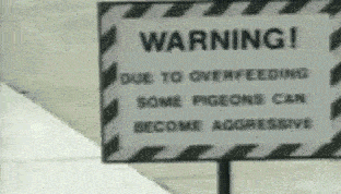 A Coordinated Attack on Cryptocurrency