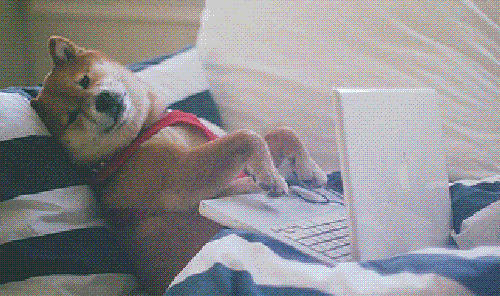 ‘Google Search,’ but for Blockchains