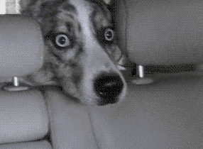 NFTs Need To Take a Backseat