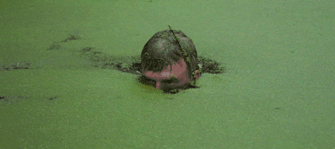 Dumb Ideas Are No Longer Being Funded