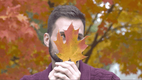 What’s Fall Like in the Metaverse?